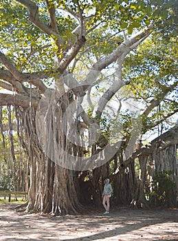 Lady in blue jacket and pink pants laying on the tree