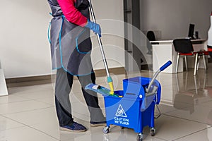 a lady with a bucket and a MOP, cleaning company