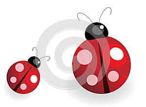 Lady Bug