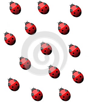 Lady Bug background illustration