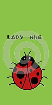 Lady Bug illustration, cartoon, green background, natural, incest, red, animal world, pretty, beautiful