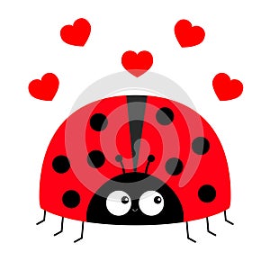 Lady bug ladybird icon. Love greeting card with red heart set. Cute cartoon kawaii funny baby character. Happy Valentines Day.