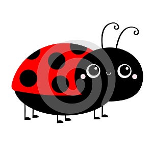 Lady bug ladybird insect icon print. Side view. Cute cartoon kawaii funny baby character. Big eyes. Red black color. Love greeting