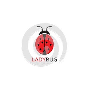 lady bug logo template vector illustration icon