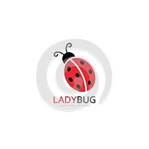 lady bug logo template vector illustration icon