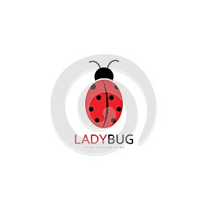 lady bug logo template vector illustration icon