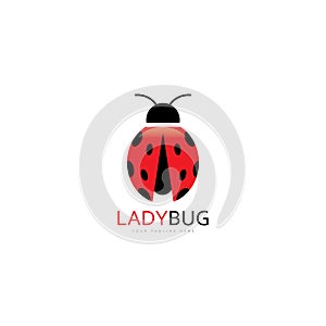 lady bug logo template vector illustration icon