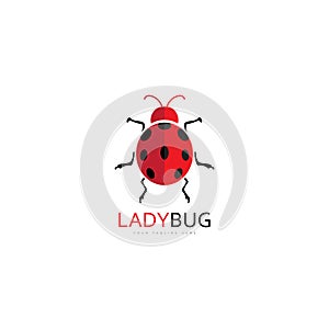 lady bug logo template vector illustration icon