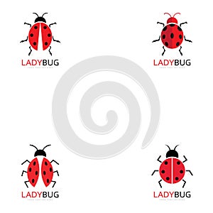 lady bug logo template vector illustration icon