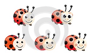 Lady bugs