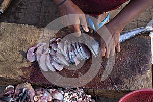 Lady cutting pieces of Kingfish or Surmai, Mirkarwada, Ratnagiri