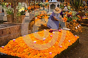 The lady is decorating the tomb with cempasuchil flowers on the day of the dead in MichoacÃ¡n Mexico.