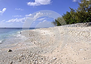 Lady Elliot Island beach