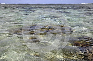 Lady Elliot Island lagoon