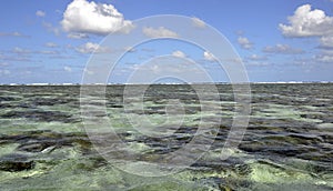 Lady Elliot Island lagoon