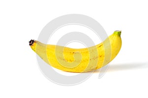 Lady FInger Banana. photo