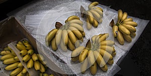 Lady Finger bananas, sugar bananas, sucrier, ninos, bocadillos, fig bananas, or date bananas photo