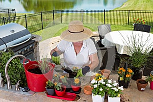 Lady gardener potting up new plants on a patio photo