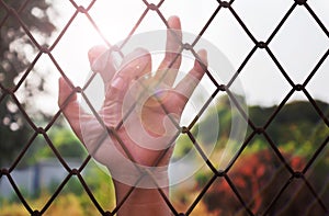 Lady or girl hand catching iron bar with lens flare, imprison or photo