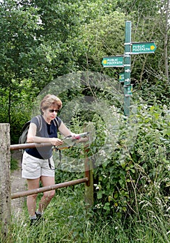 Lady Hiker reading a Map