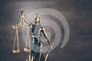 Lady judget on the wooden dark background