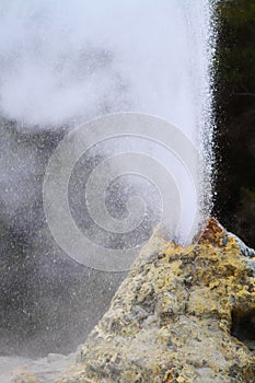 Lady Knox Geyser photo