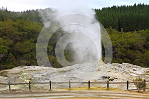 Lady Knox Geyser photo