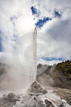 Lady Knox Geyser while Erupting in Wai-O-Tapu Geothermal Area, New Zealand