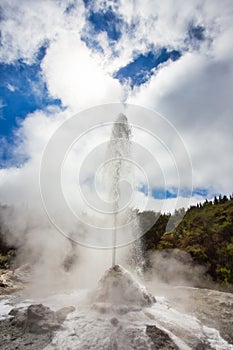 Lady Knox Geyser while Erupting in Wai-O-Tapu Geothermal Area, New Zealand