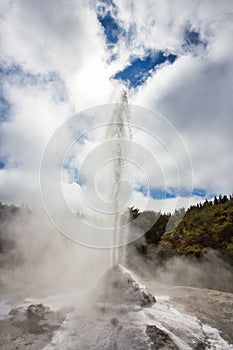 Lady Knox Geyser while Erupting in Wai-O-Tapu Geothermal Area, New Zealand