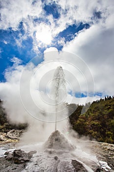 Lady Knox Geyser while Erupting in Wai-O-Tapu Geothermal Area, New Zealand