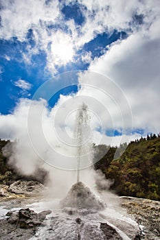 Lady Knox Geyser while Erupting in Wai-O-Tapu Geothermal Area, New Zealand