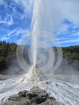 The Lady Knox Geyser in New Zealand
