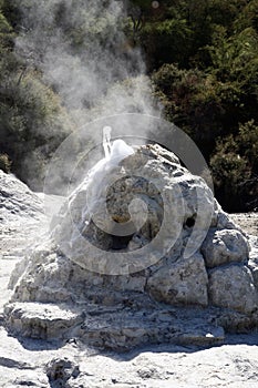 Lady Knox Geyser, New Zealand