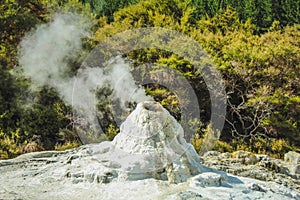 Lady Knox Geyser at Wai-O-Tapu Thermal Wonderland near Rotorua, North Island, New Zealand