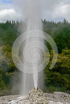 Lady Knox Geyser, Wai-O-Tapu Thermal Wonderland, Rotorua, North Island, New Zealand