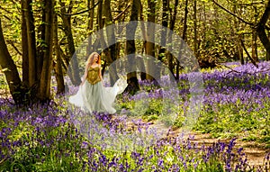 Lady in a long flowing dress in a bluebell woodland