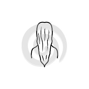 Lady with a long hair icon. Body part element. Premium quality graphic design. Signs, outline symbols collection, simple thin line