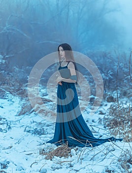 Lady in a luxury lush blue dress photo