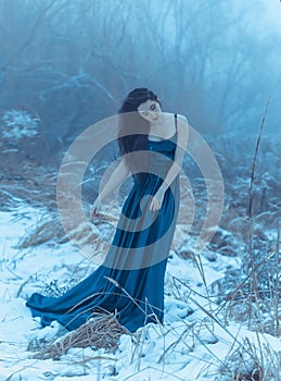 Lady in a luxury lush blue dress photo