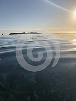 Lady Musgrave Island