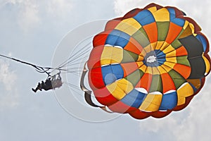 Lady para gliders overhead photo