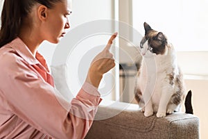 Lady Points Finger At Cat With Behavioral Problems At Home