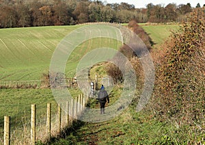 Lady Rambler on a Rural Trail