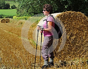 Lady Rambler standing by a Bale of Hay