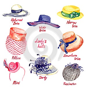 Lady`s hats types