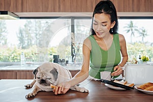 A lady sharing her morning meal with a sleepy pug at home