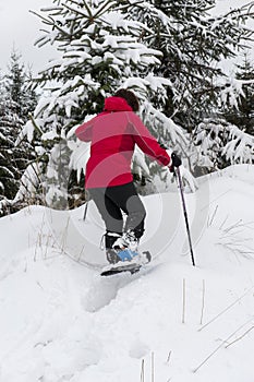 Lady snow shoeing in forest