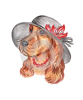 The lady a spaniel in a hat. Dog, drawing watercolor