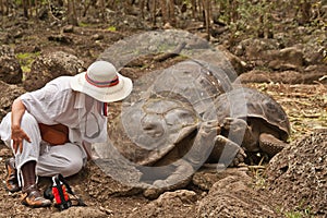 The Lady and the Tortoise